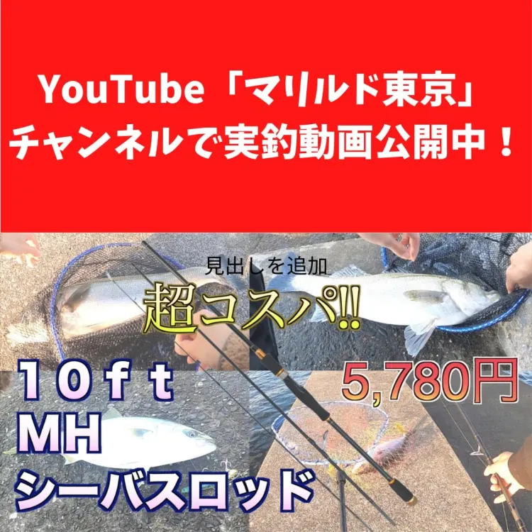 3m 10ft ルアーロッド 3ピース(スピニング/ベイト) 画像2