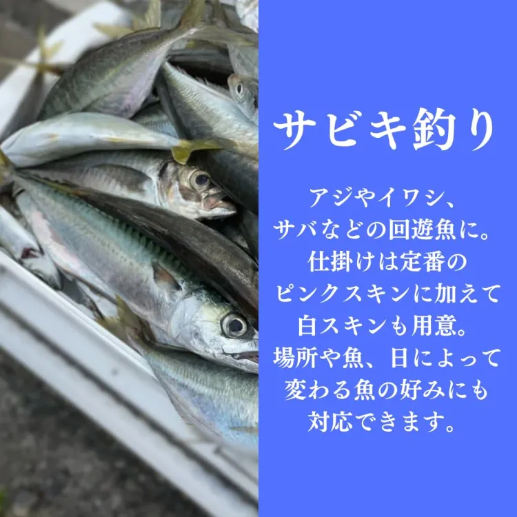 初心者海釣り 絶対釣らせるセット サビキ・チョイ投げ ロッド・糸付きリールセット2本 画像4
