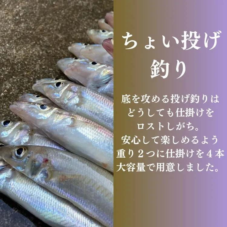 初心者海釣り 絶対釣らせるセット サビキ・チョイ投げ ロッド・糸付きリールセット2本 画像5
